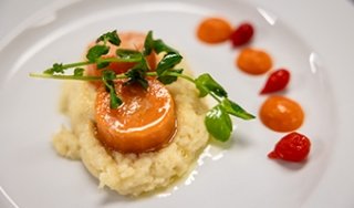 A delicately plated plate of food