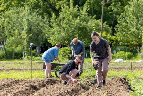 Students planting in the farm