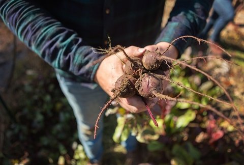 Student holding freshly picked produce