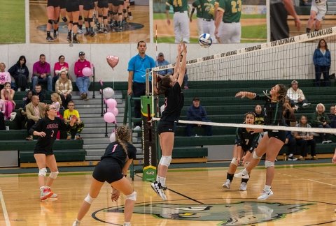 Volleyball team at the net