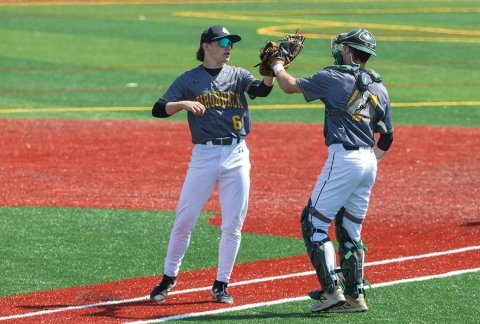 Baseball athletes high fiving each other